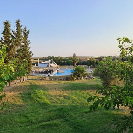 Janis Seaview Villa Неа-Фокеа Экстерьер фото