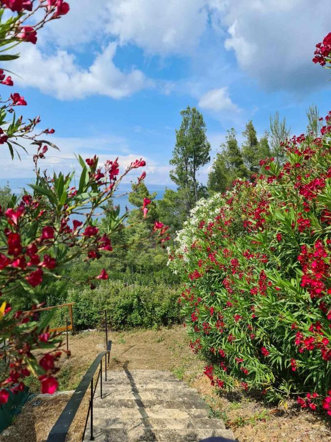 Janis Seaview Villa Неа-Фокеа Экстерьер фото